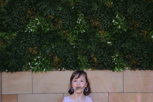 IMG 2204 20250614 164016 3600