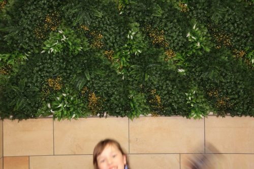 IMG 2205 20250614 164047 3600