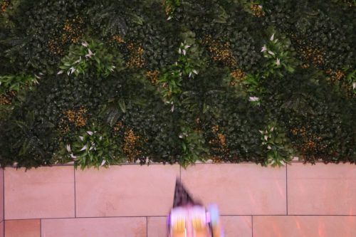 IMG 2215 20250614 165508 3600